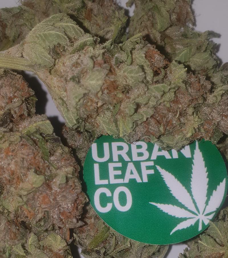 **BUBBLEGUM - (FREE ROYAL MAIL 1ST CLASS SHIPPING)**