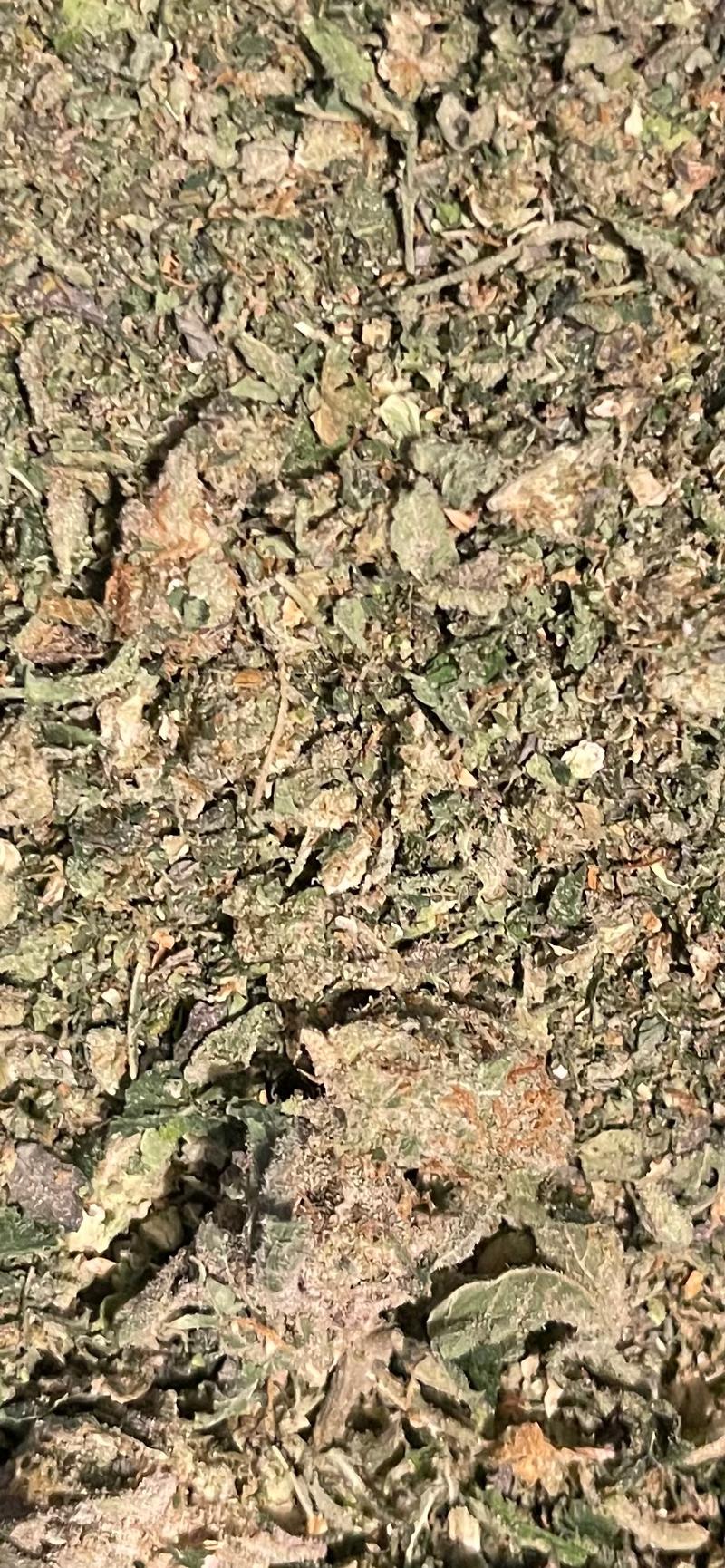 Top quality shake - see description for flavours.