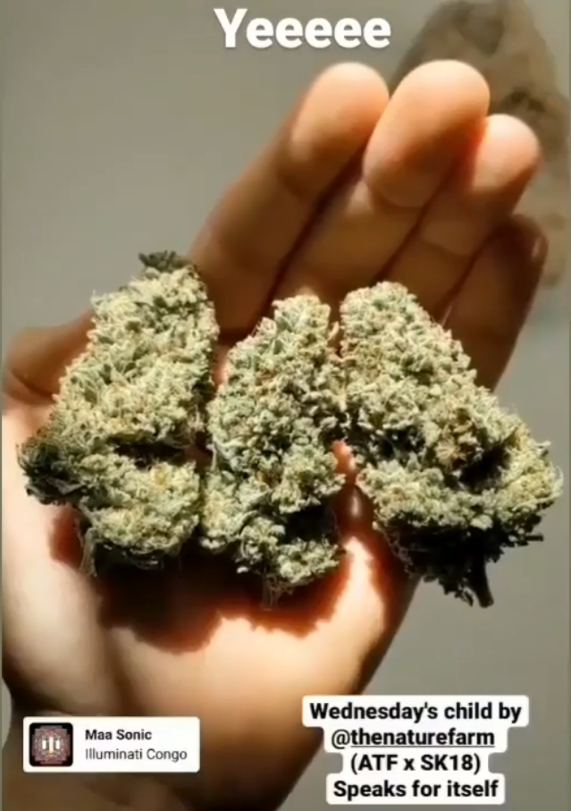 The Nature Farm Seeds