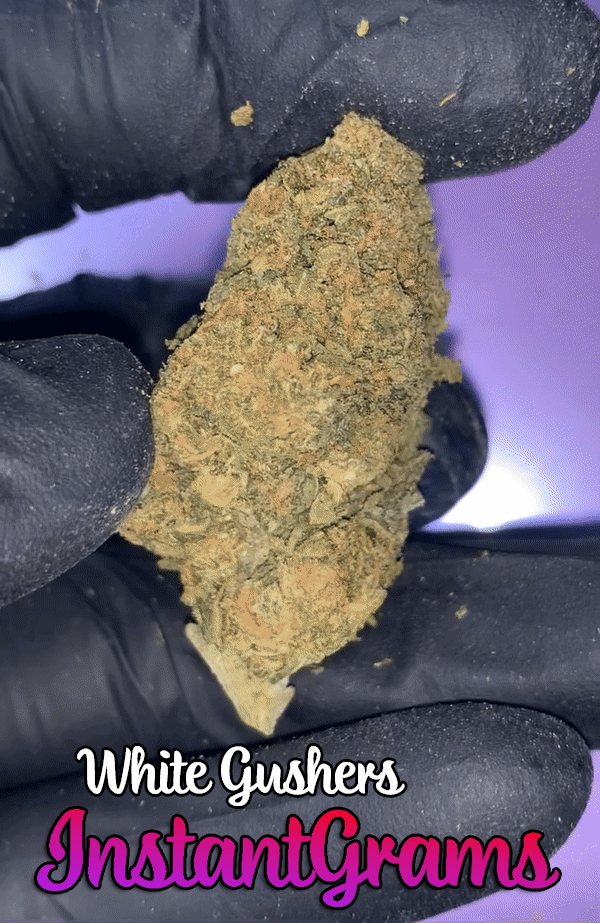 INSTANT Outdoor Cali Buds