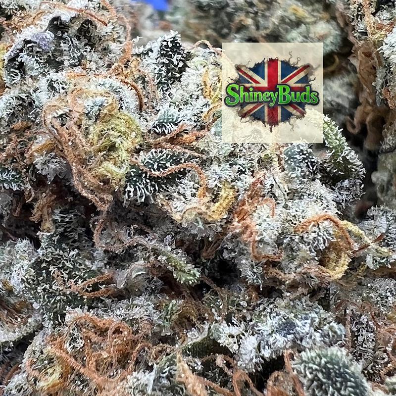 🇬🇧 Purple Lemon Drizzle