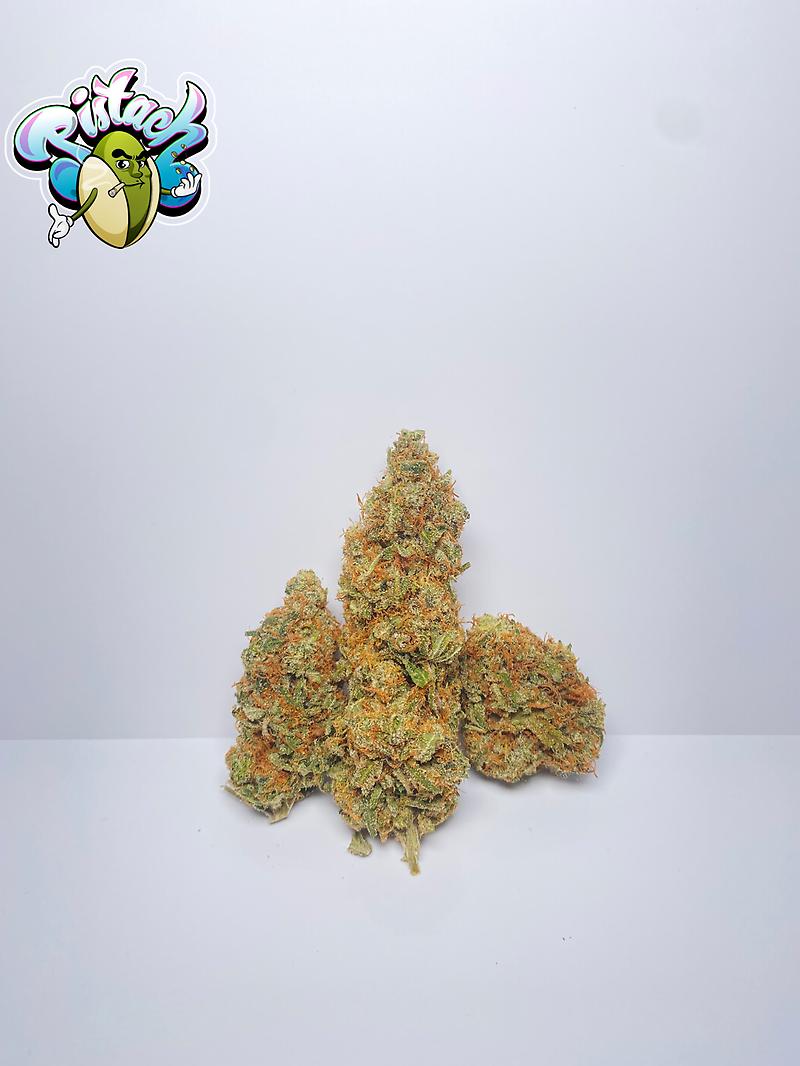 BLUE FUCKING FIRE ZUSHI