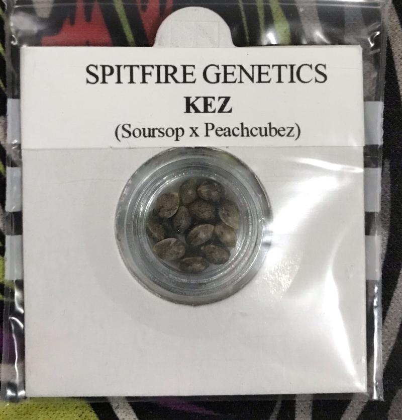 Spitfire Genetics