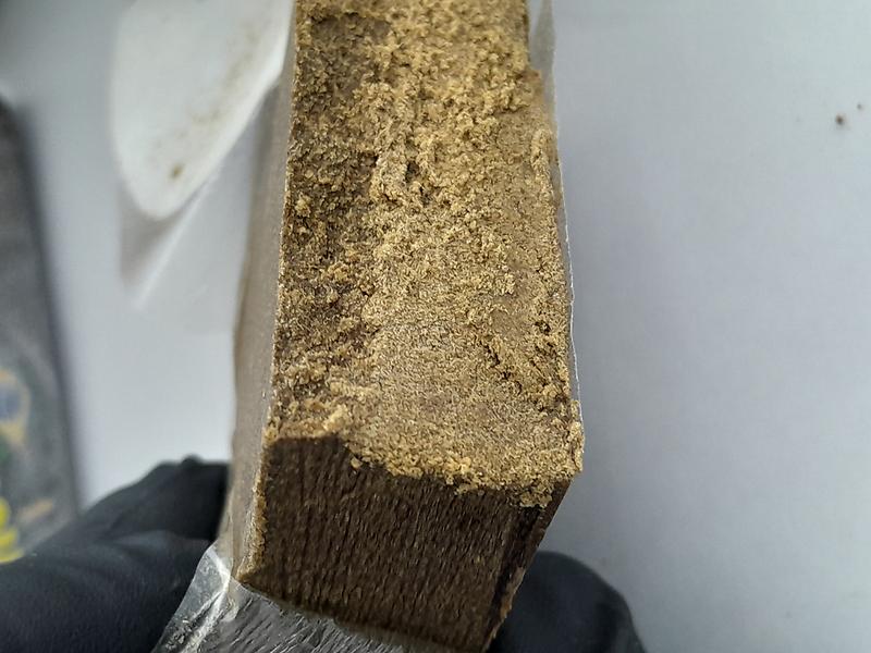 🍋 🎄 LEMON TREE