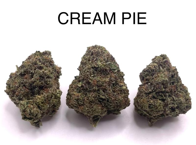 CREAM PIE