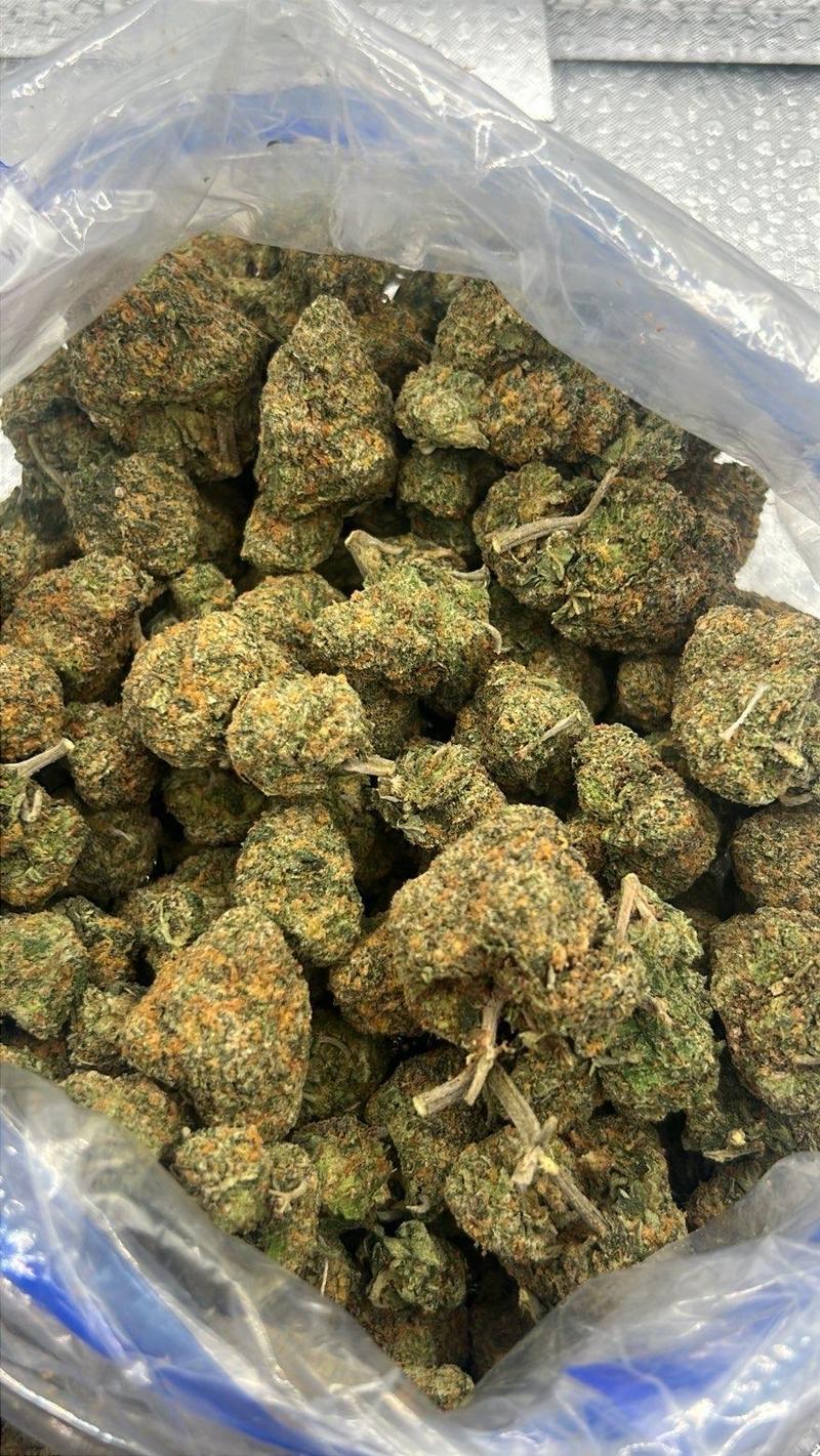 💰 CALI LOOSE EXOTICS | Zillions 💰