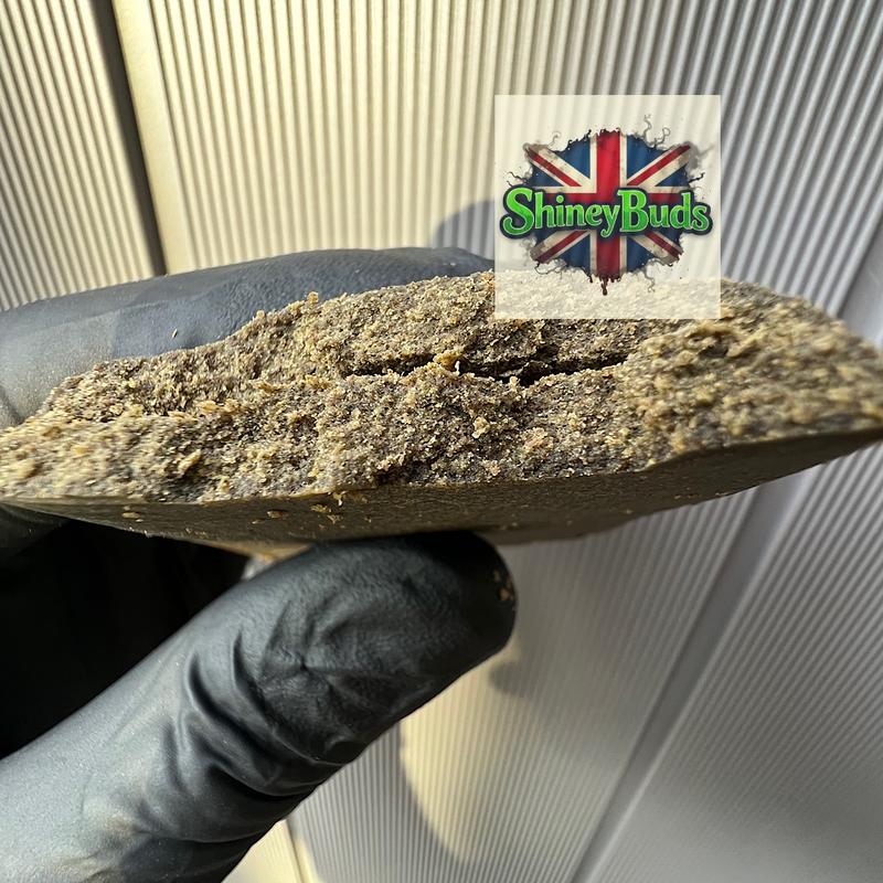 🇺🇸 Dice Genetics Frozen Sift Cookies