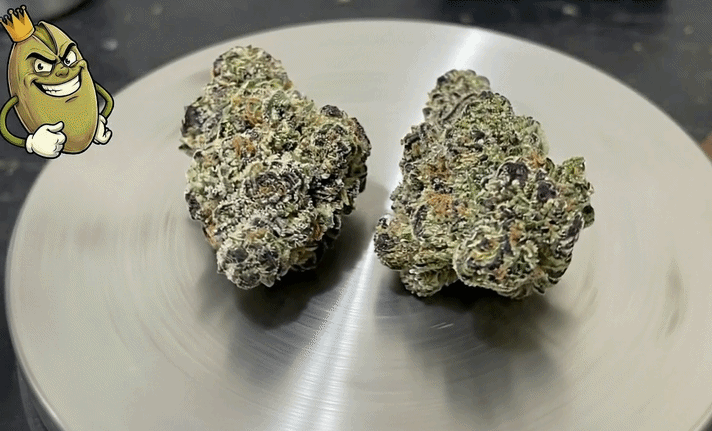 GIRAFFE PUZZY - DOJA PAK