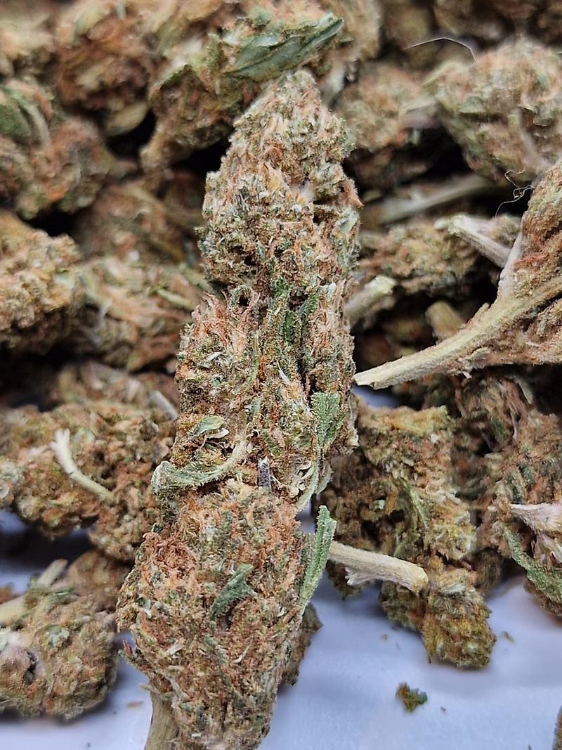 Platinum Kush - Bone Dry Pure Jamaican Sensi