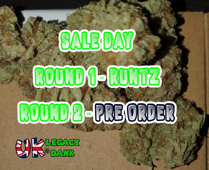 FLASH SALE DAY BARGAIN BUDS!