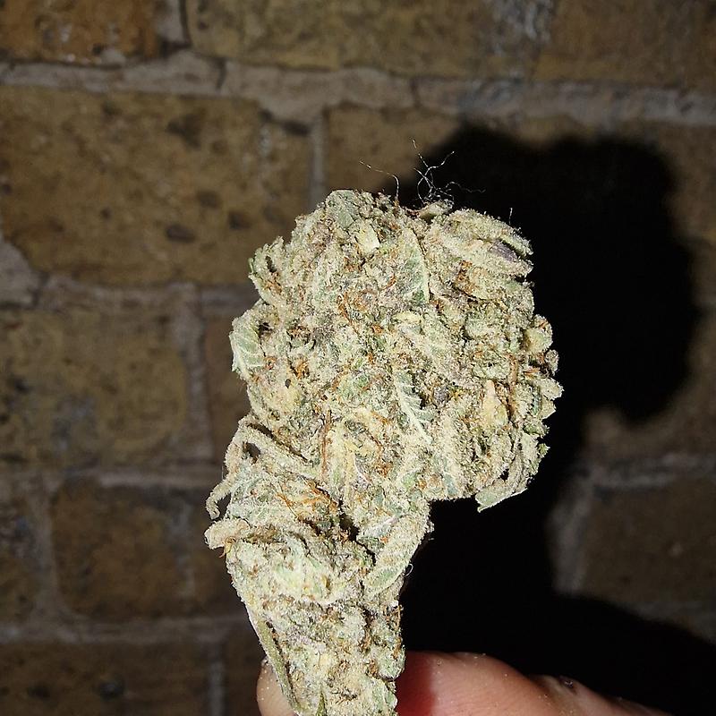 Purple Cookies 😈🍪