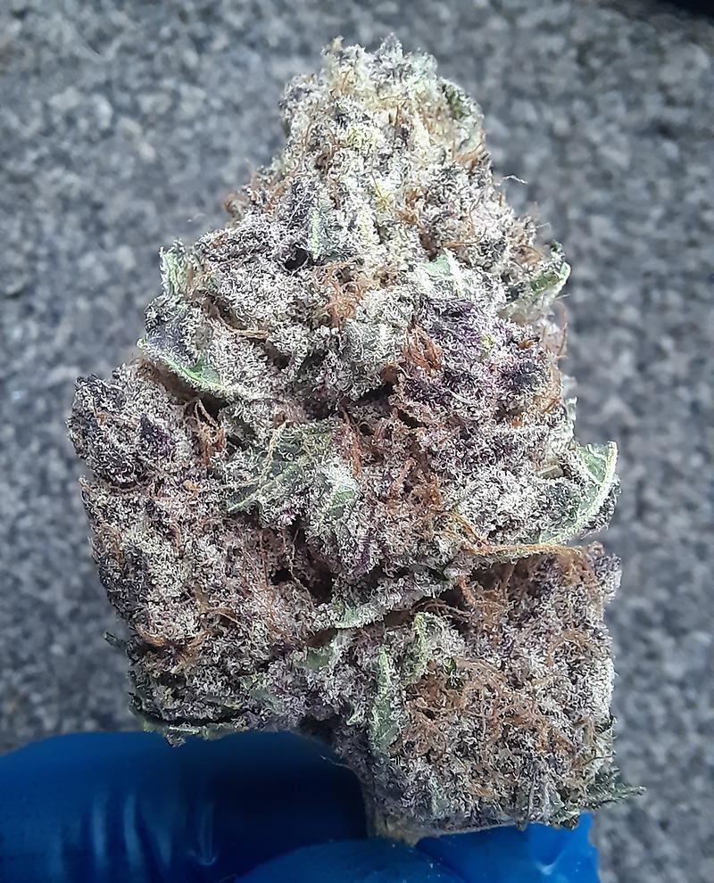 PURPLE LEMONADE - 70/30 INDICA