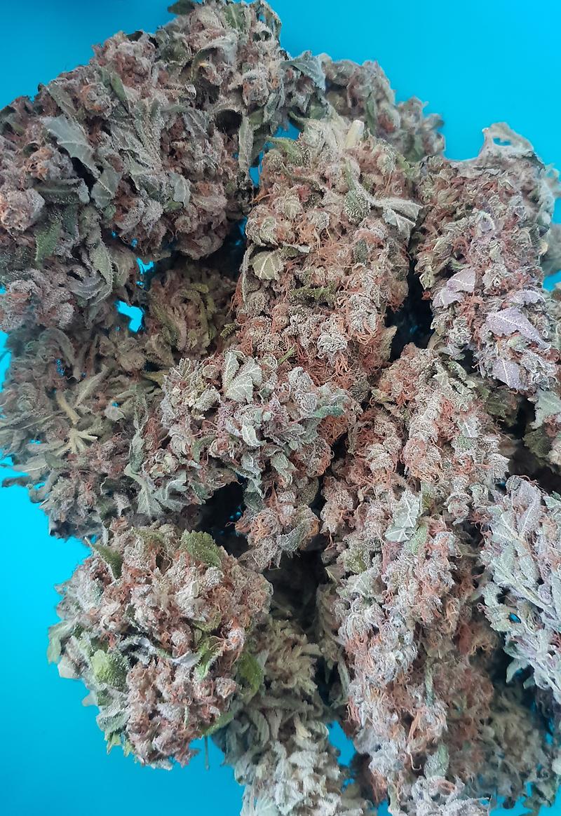 **GREASE MONKEY - (FREE RM 1ST CLASS DISPATCH)**