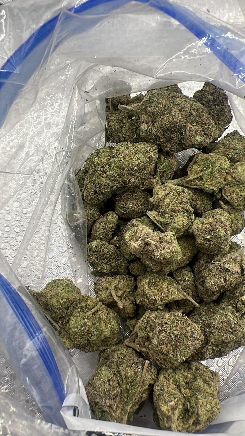 🌴 CALI LOOSE EXOTICS | Tropical Runtz 🌴