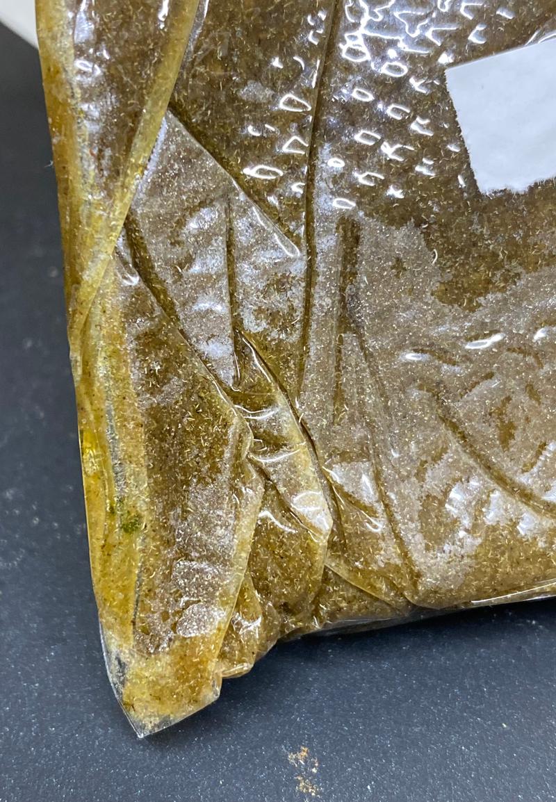 Banana Pie Whole Plant Fresh 🍌