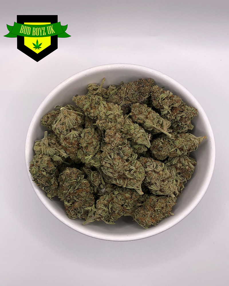 STARDAWG