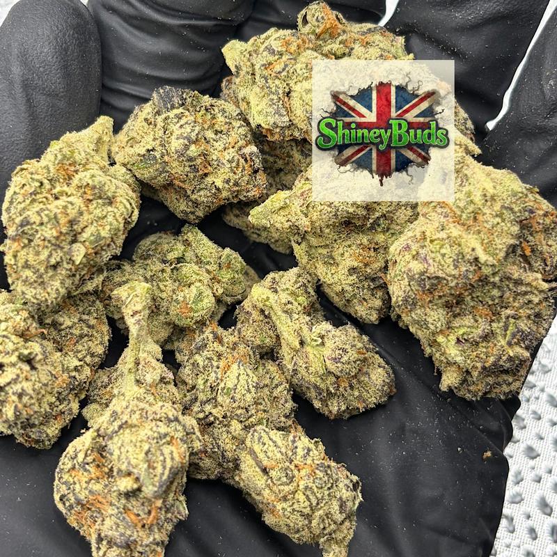🇺🇸 10 Bandz CONNECTED CANNABIS