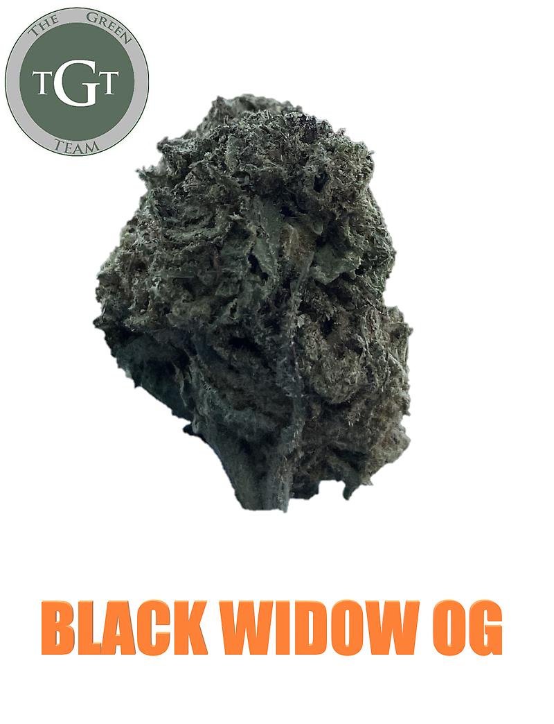 BLACKWIDOW OG
