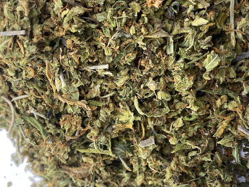 The Ultimate Shake Shack - Quality is King