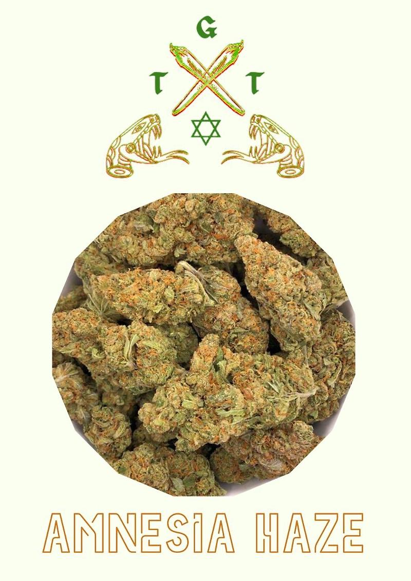 AMNESIA HAZE *FREE SHIPPING*