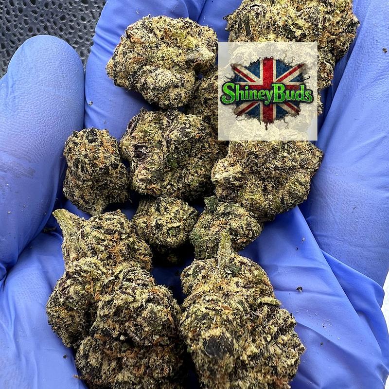 🇺🇸 Cherry Pie (Mids)