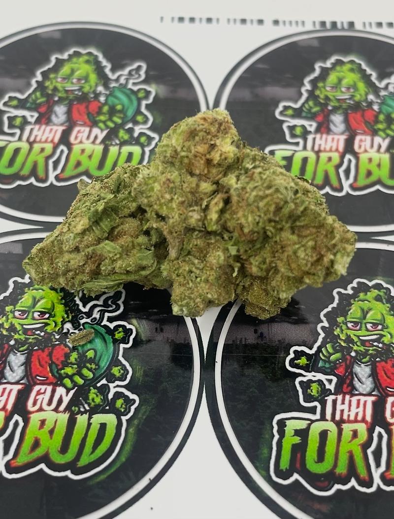 Orange Tree Indoor Grown UK