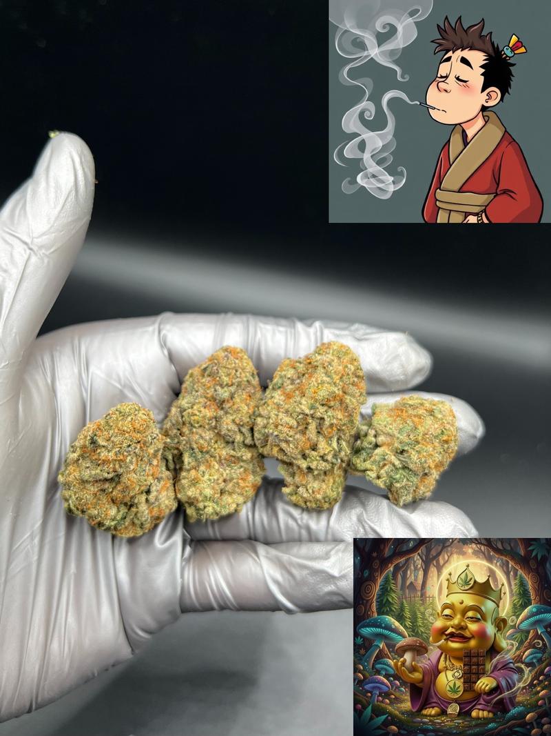 MENDO BREATH