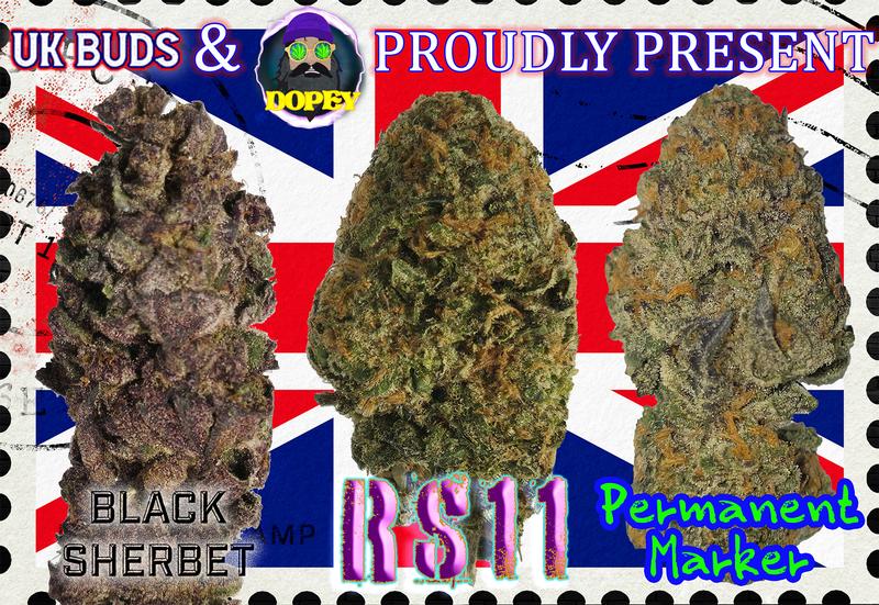 UK BUD'S