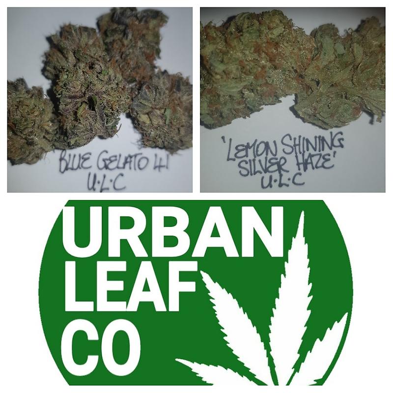 **2 STRAIN VARIETY PACK (RM 1ST CLASS DELIVERY)**