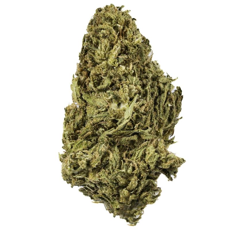 Chico Verde