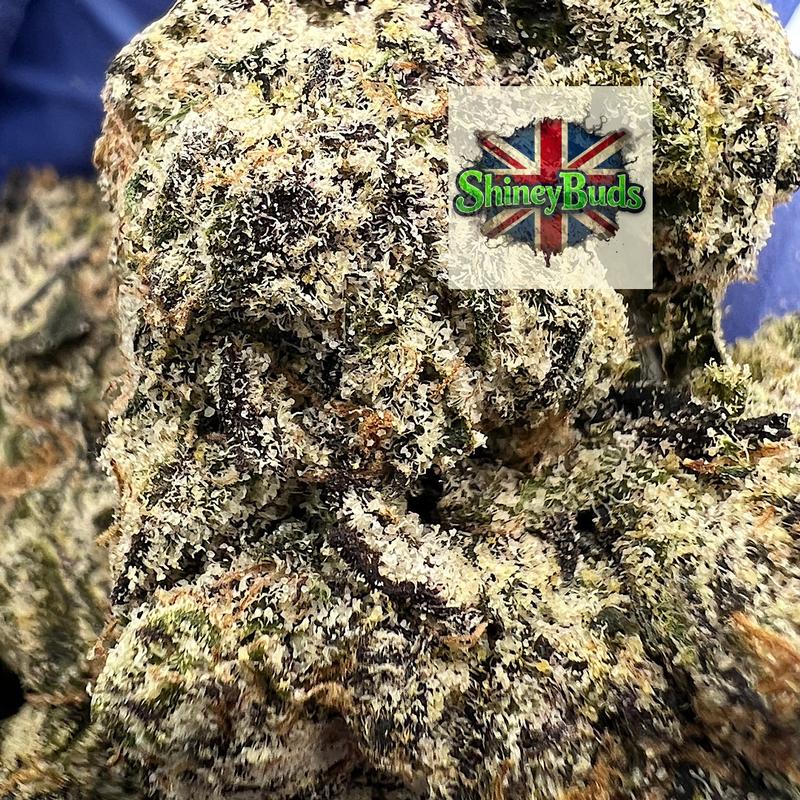 🇺🇸 Raspberry Runtz (Tops)
