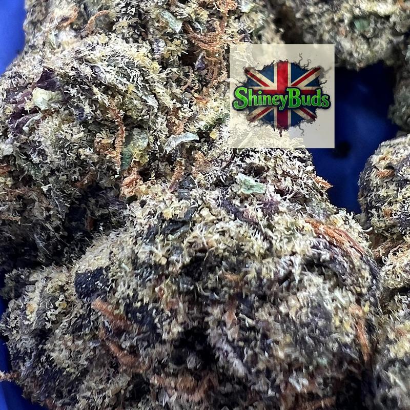 🇺🇸 Cherry Pie (Mids)