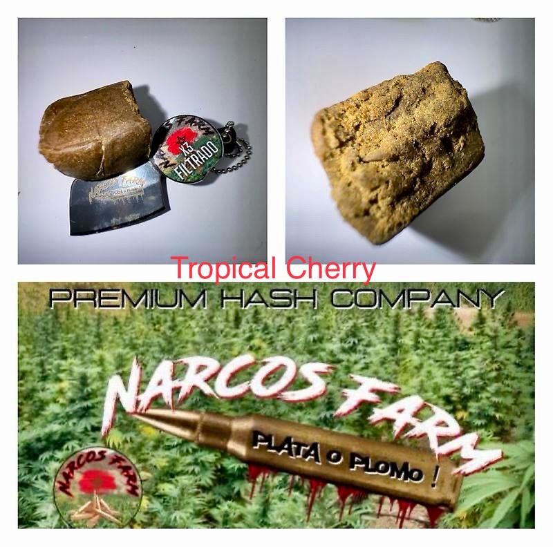 Narco Farms 3x Filtered Hashes