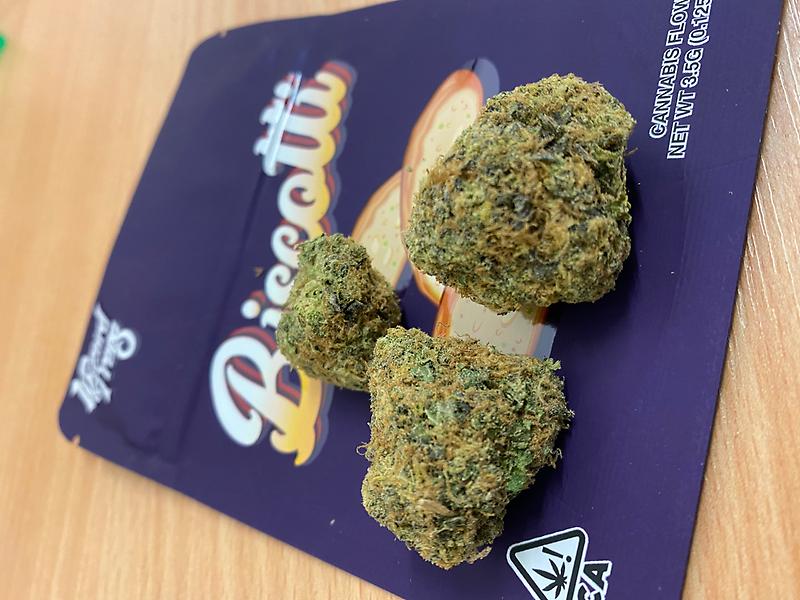 WIZARD TREES - BISCOTTI