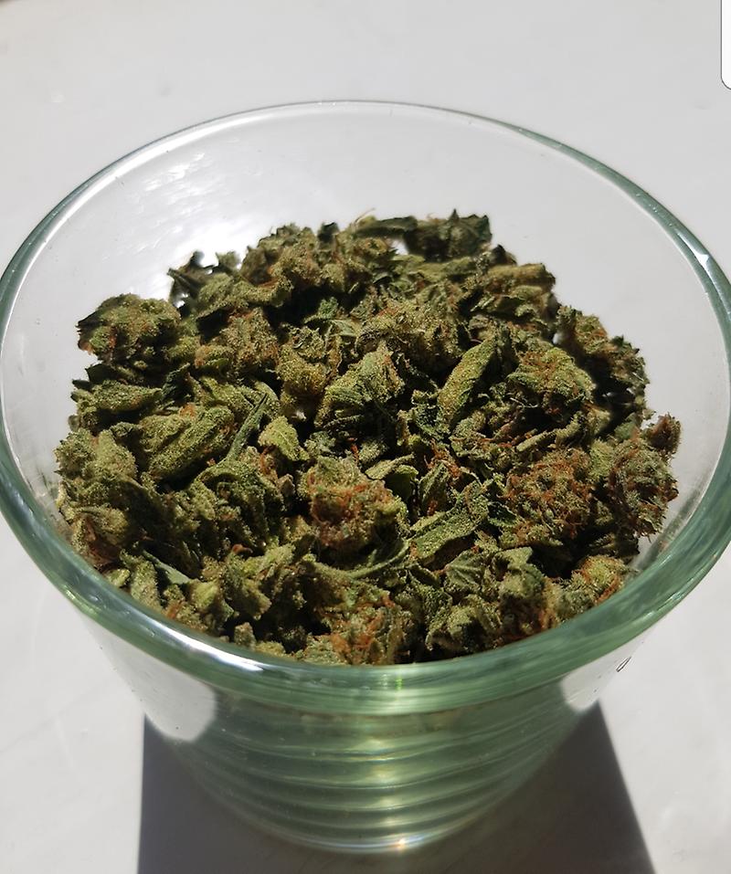**SUPER LEMON HAZE SHAKE**