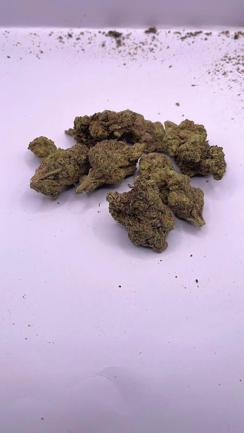 Jelly Donut - EXOTICS