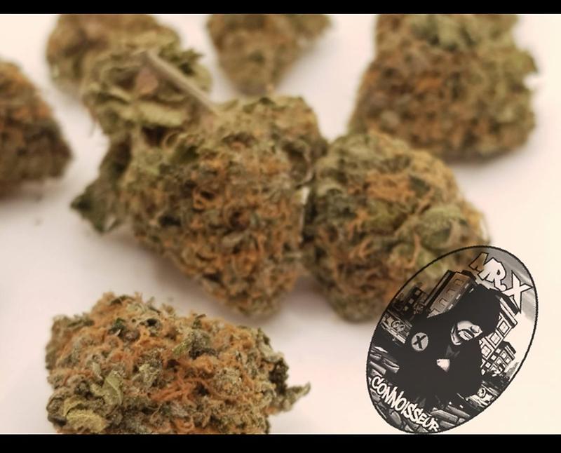 ***BAKLAVA***^^^PREMIUM^^^