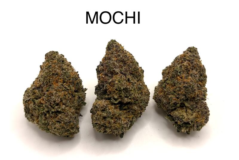 MOCHI