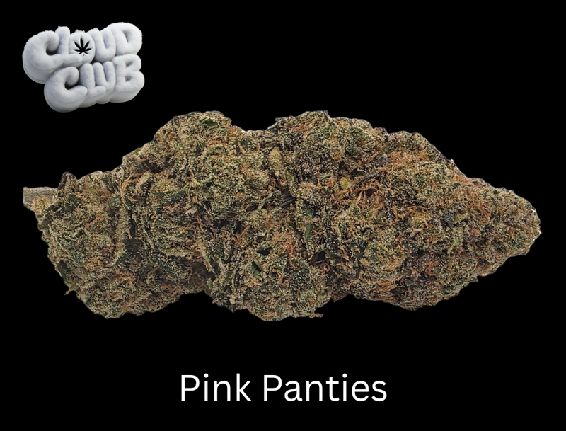 Pink Panties