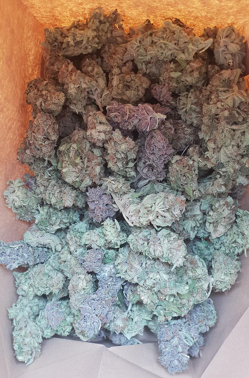 **Gorilla Zkittles - Batch #4 (FREE RM 1ST CLASS)**