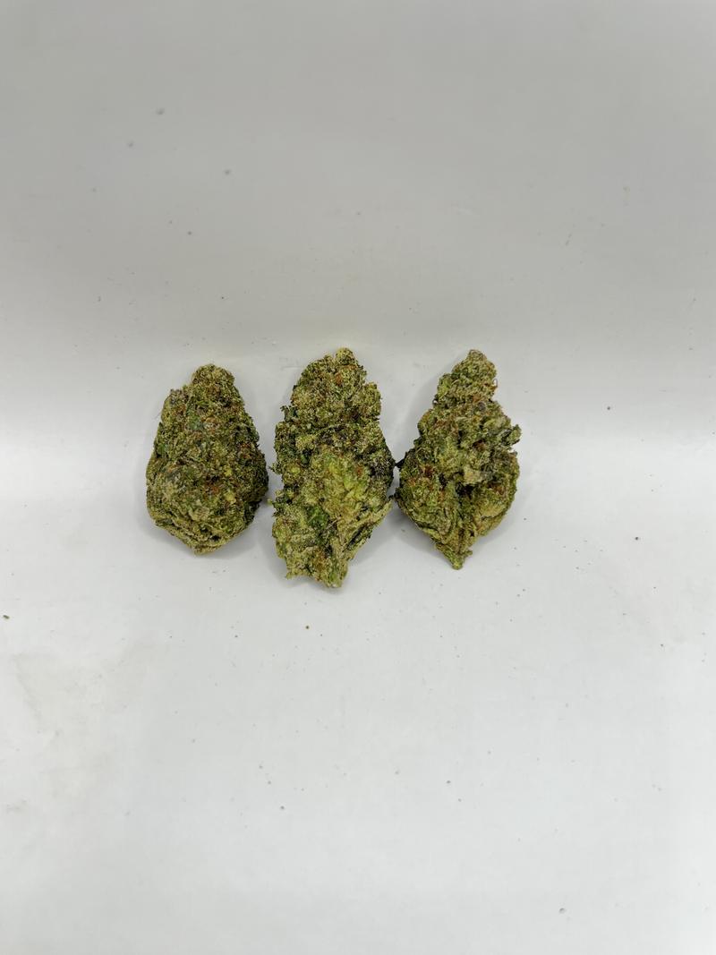 WHITE DOSI