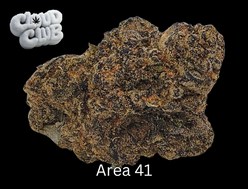 Area 41