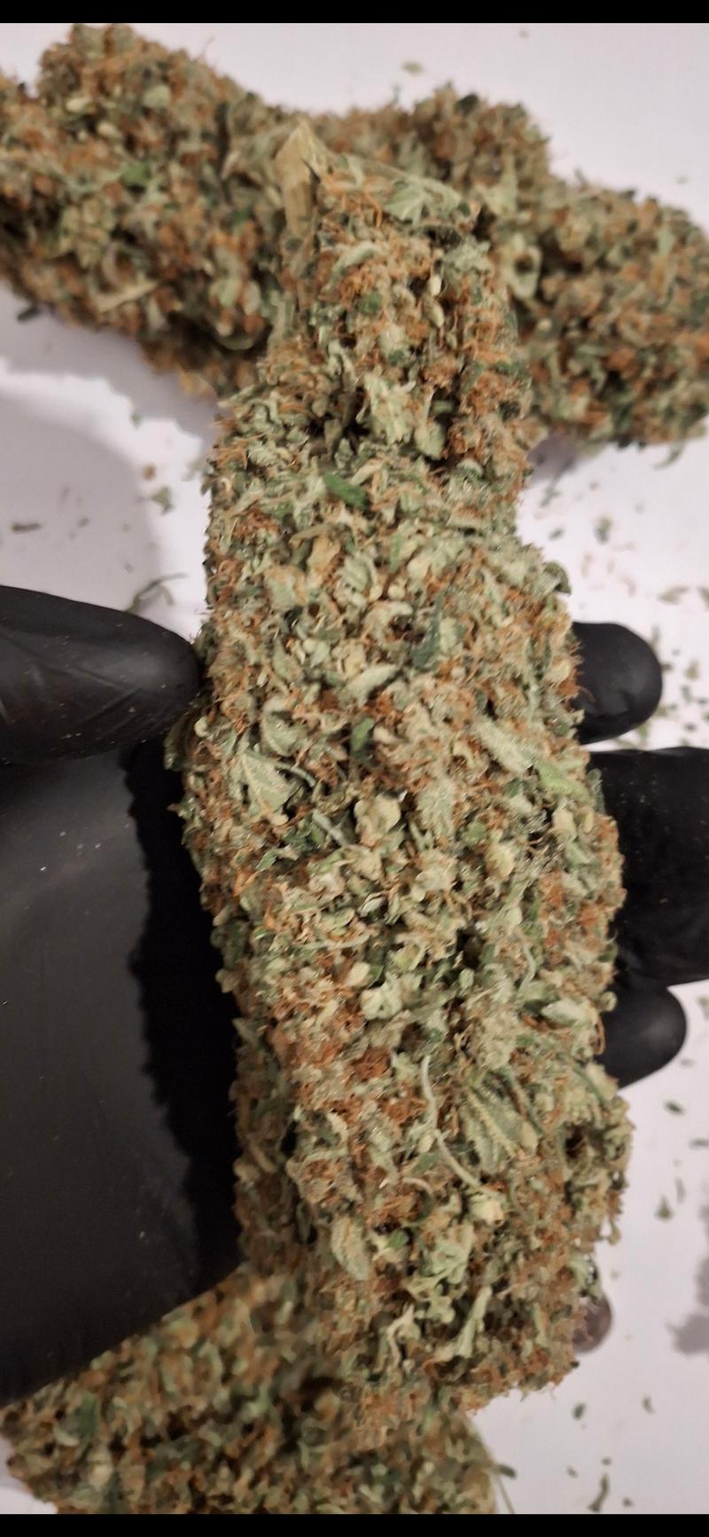 Delicious Strong Super Lemon Haze