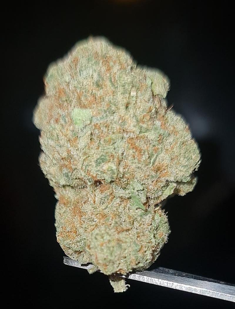 Banana Runtz