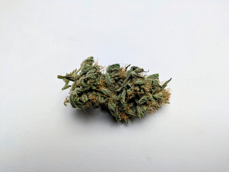 Organic Apple Fritter