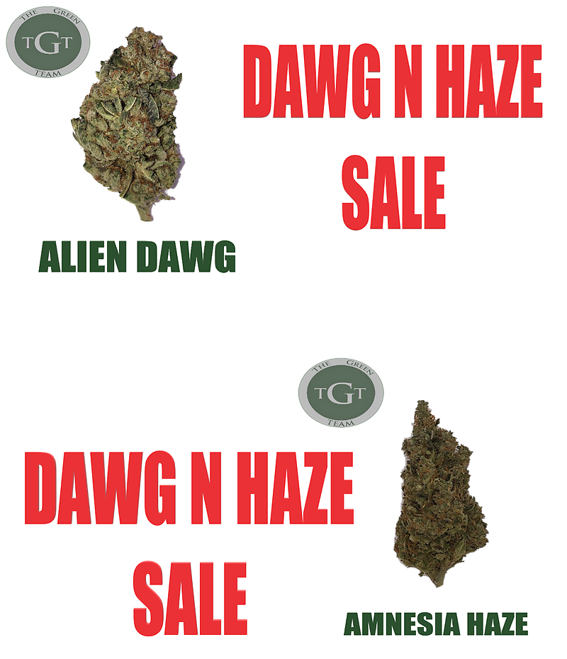 DAWG N HAZE SALE