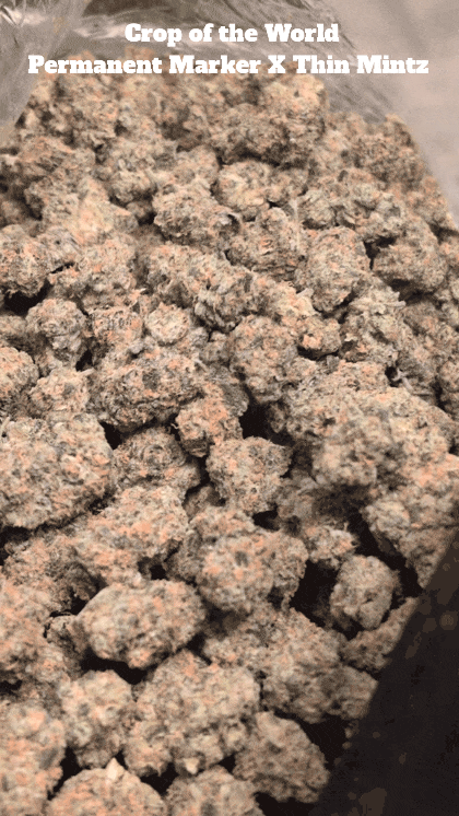 Top Shelf Exotics - Imported Loose Flower