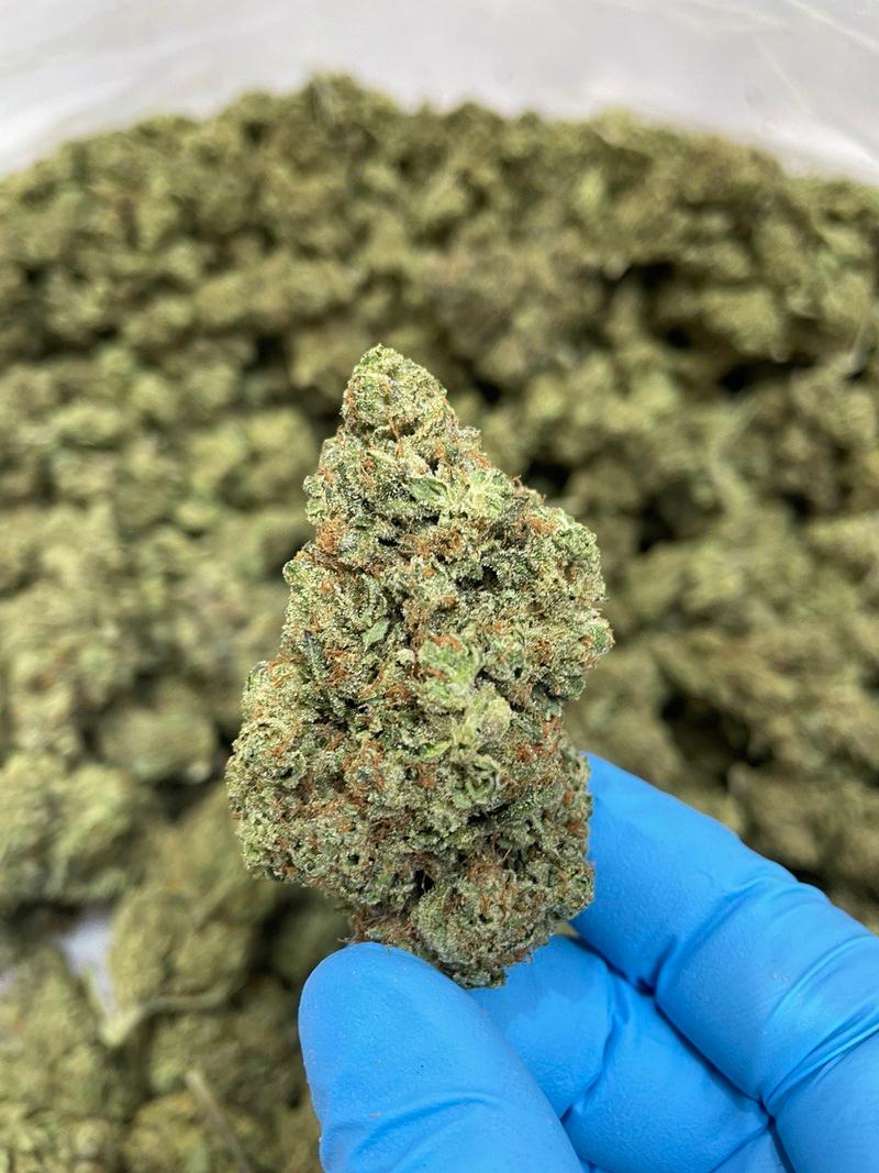 Oldskool Exodus Cheese *Free Shipping*