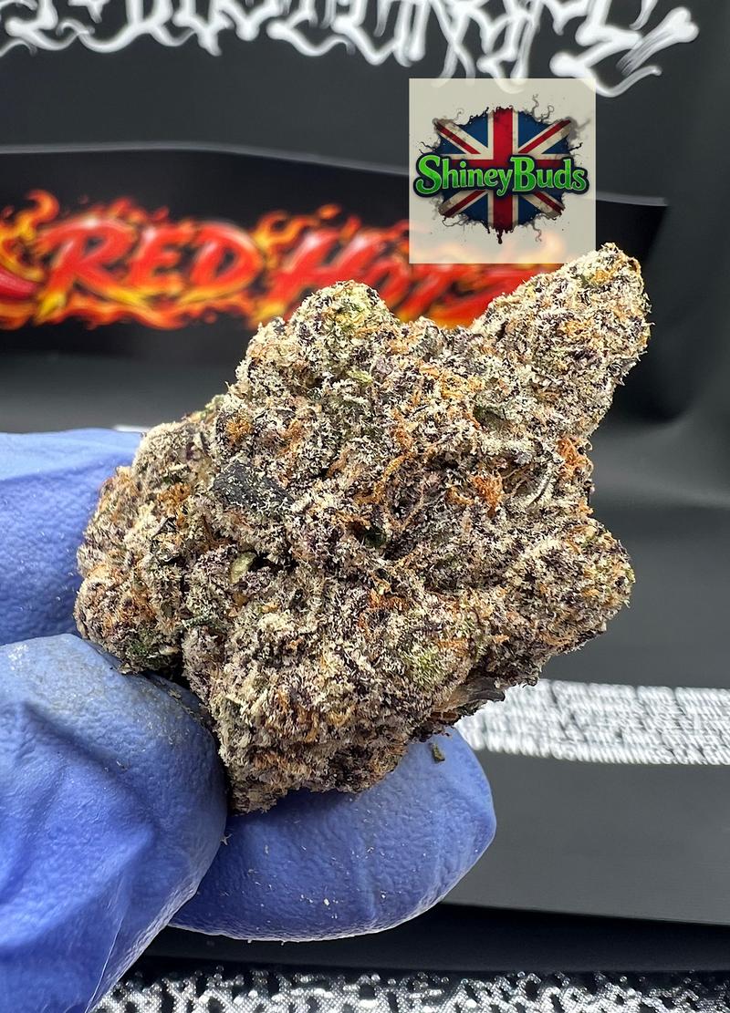 🇺🇸 Red Hotz LIFE IS NOT GRAPE