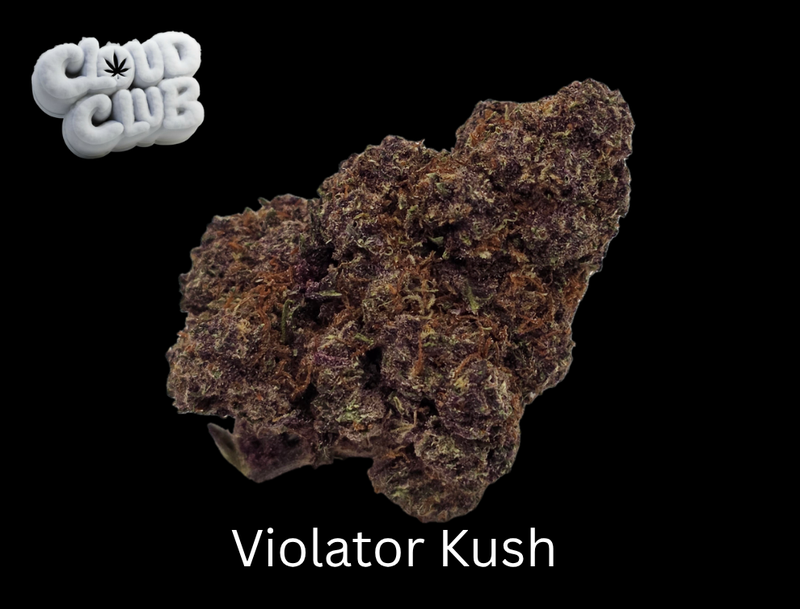 Violator Kush
